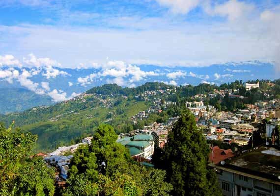 darjeeling3